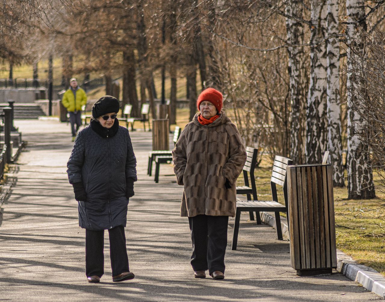 Two senior women walking together on a birch-lined park path in early spring