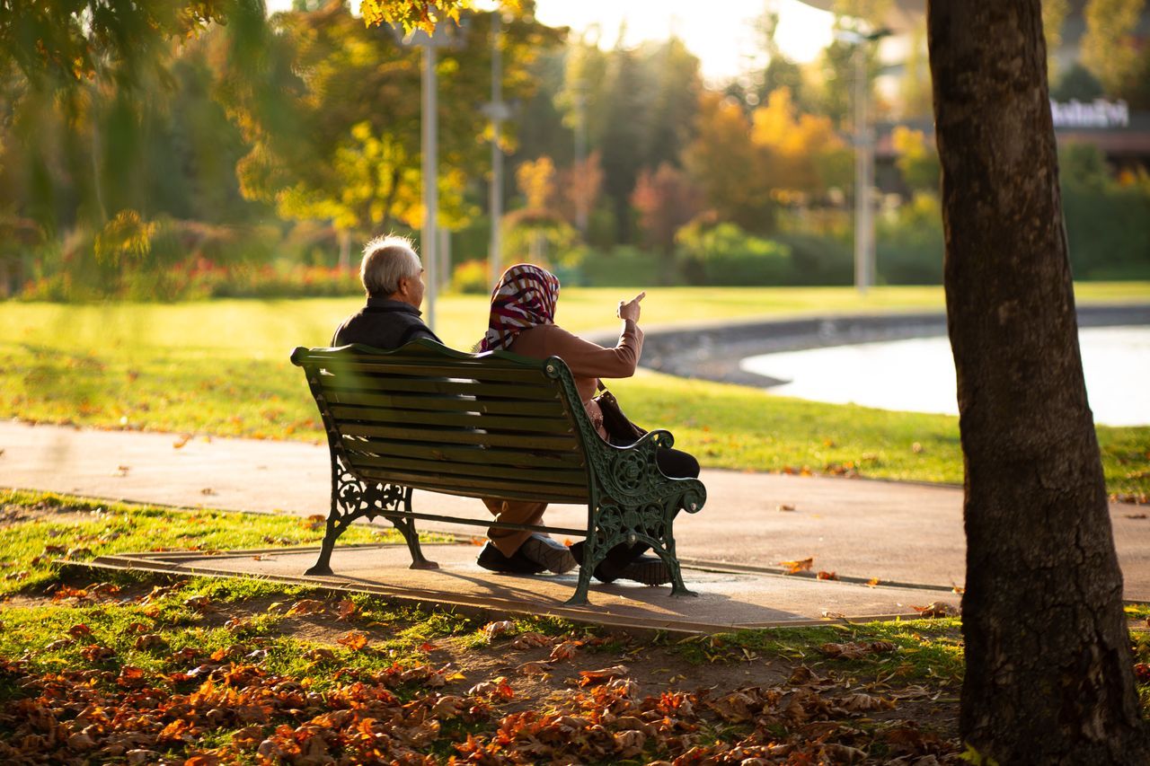 Older couple sitting together on a green park bench in warm autumn light, seen from behind