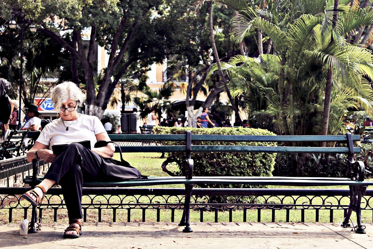 Mature woman sitting alone on a park bench reading in warm natural light