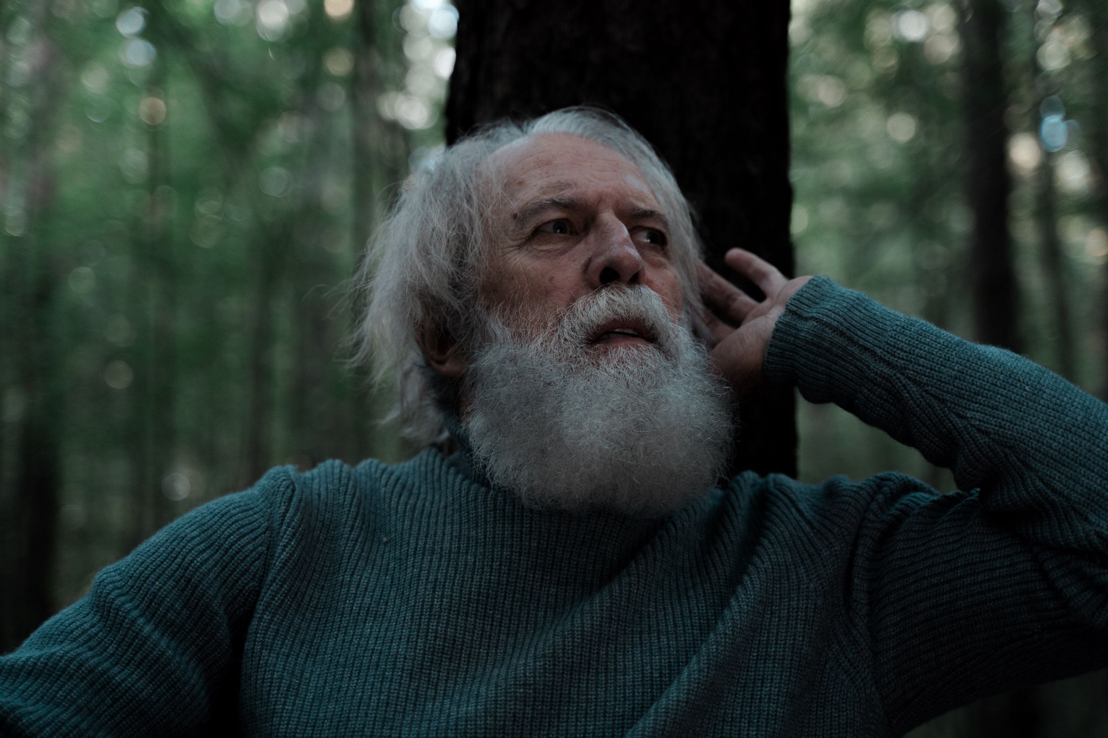 Older man with white hair and full beard in a forest, looking upward thoughtfully