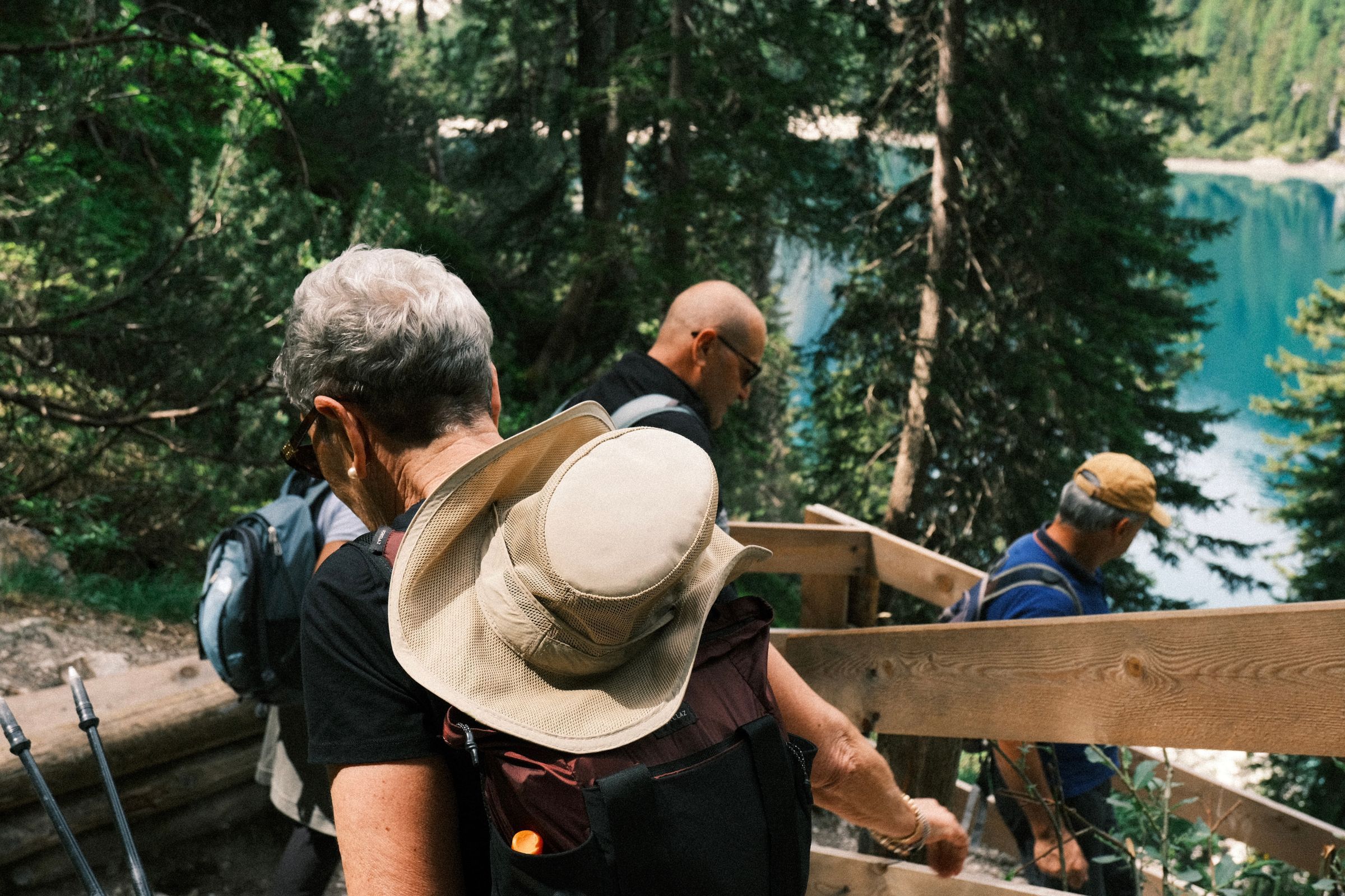 Group of senior adults hiking together through a lush green forest on a summer day