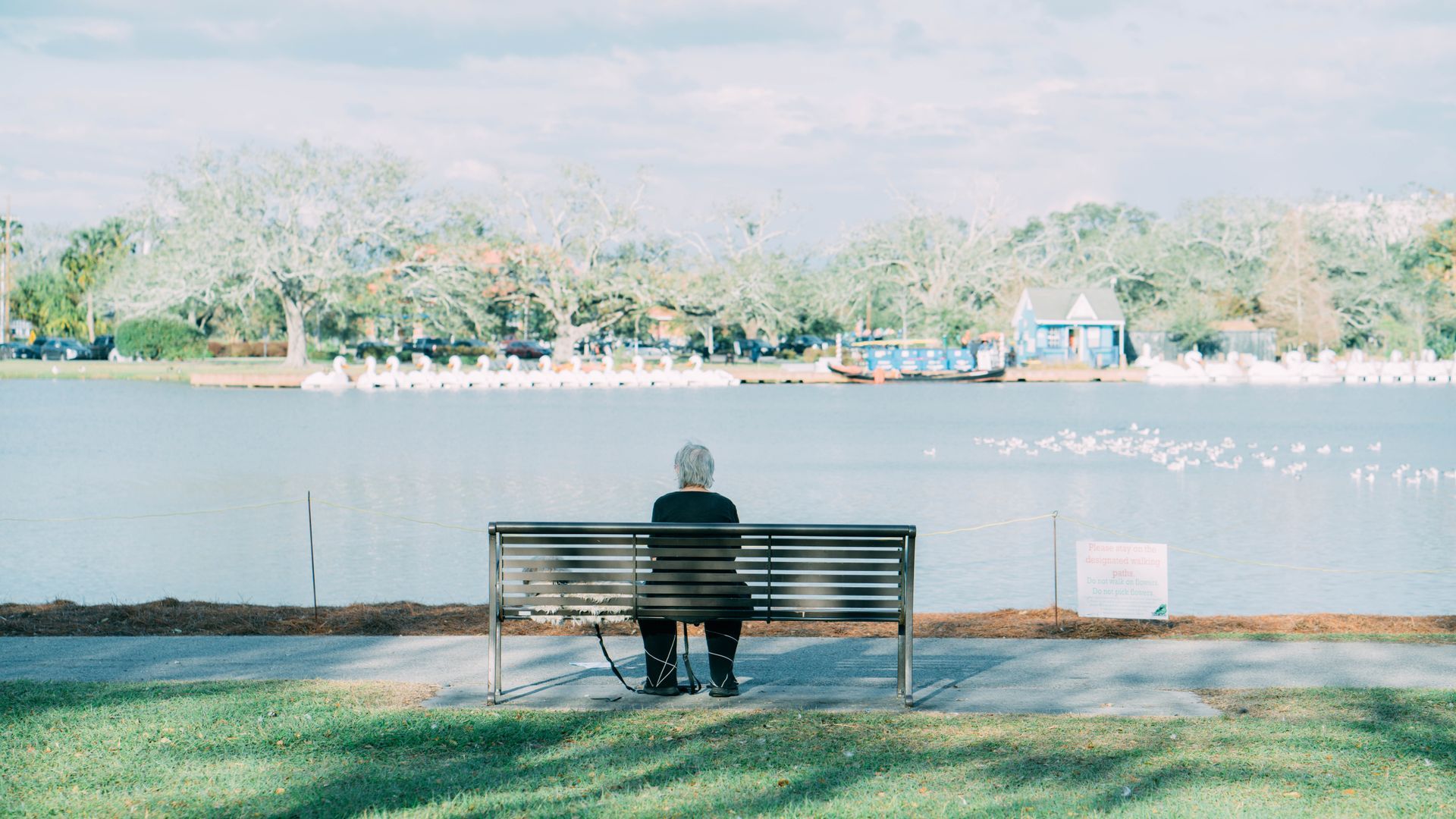 Grey-haired person sitting alone on a park bench facing a calm lake