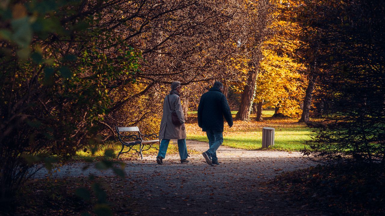 Older couple walking side by side with space between them on an autumn park path seen from behind