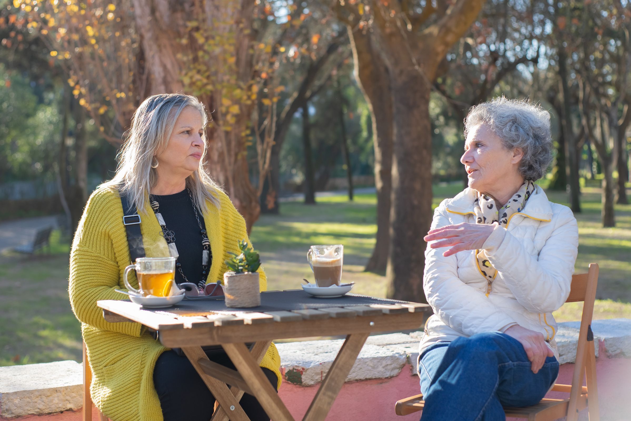 Two senior women enjoying tea and conversation on a park bench on a sunny day