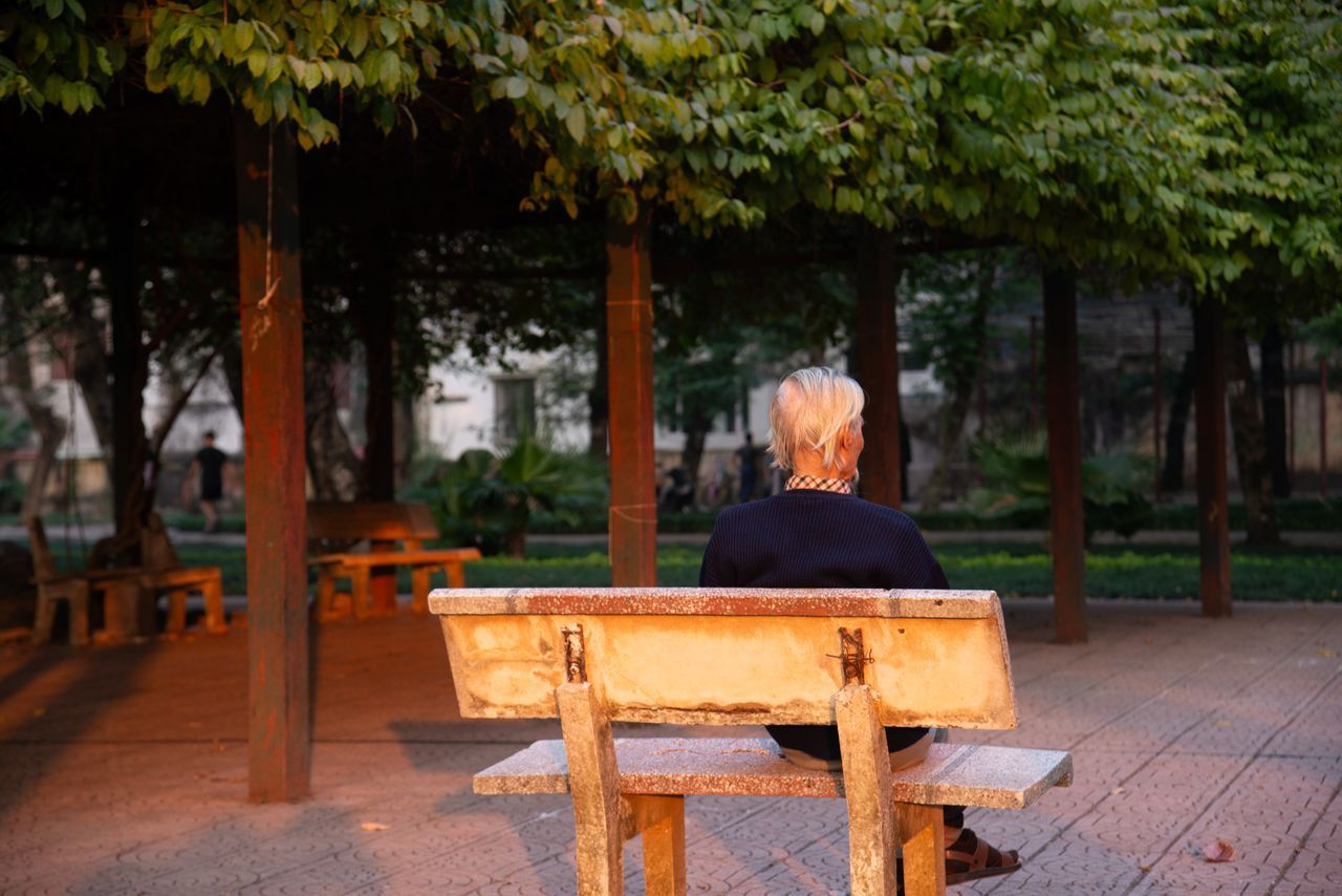 Elderly person with white hair sitting alone at a park bench seen from behind in warm afternoon light
