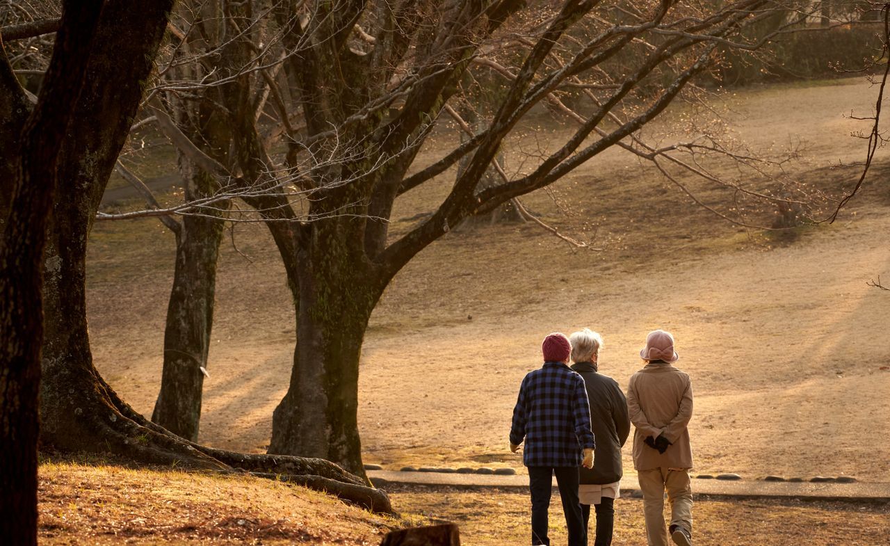 Three older adults seen from behind walking through a park in warm golden light with bare winter trees