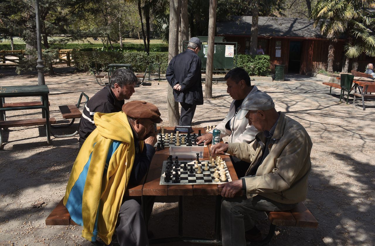 Senior men playing chess together outdoors on a sunny day in a park