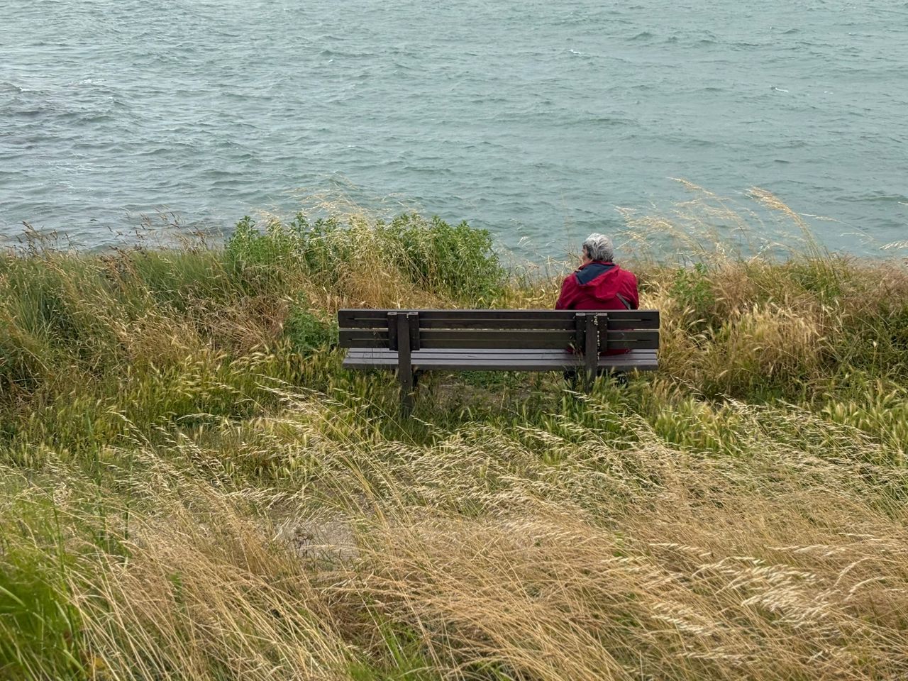 Silver-haired person in a red jacket sitting alone on a bench overlooking the sea, tall grass around them